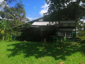 Glasshouse with river